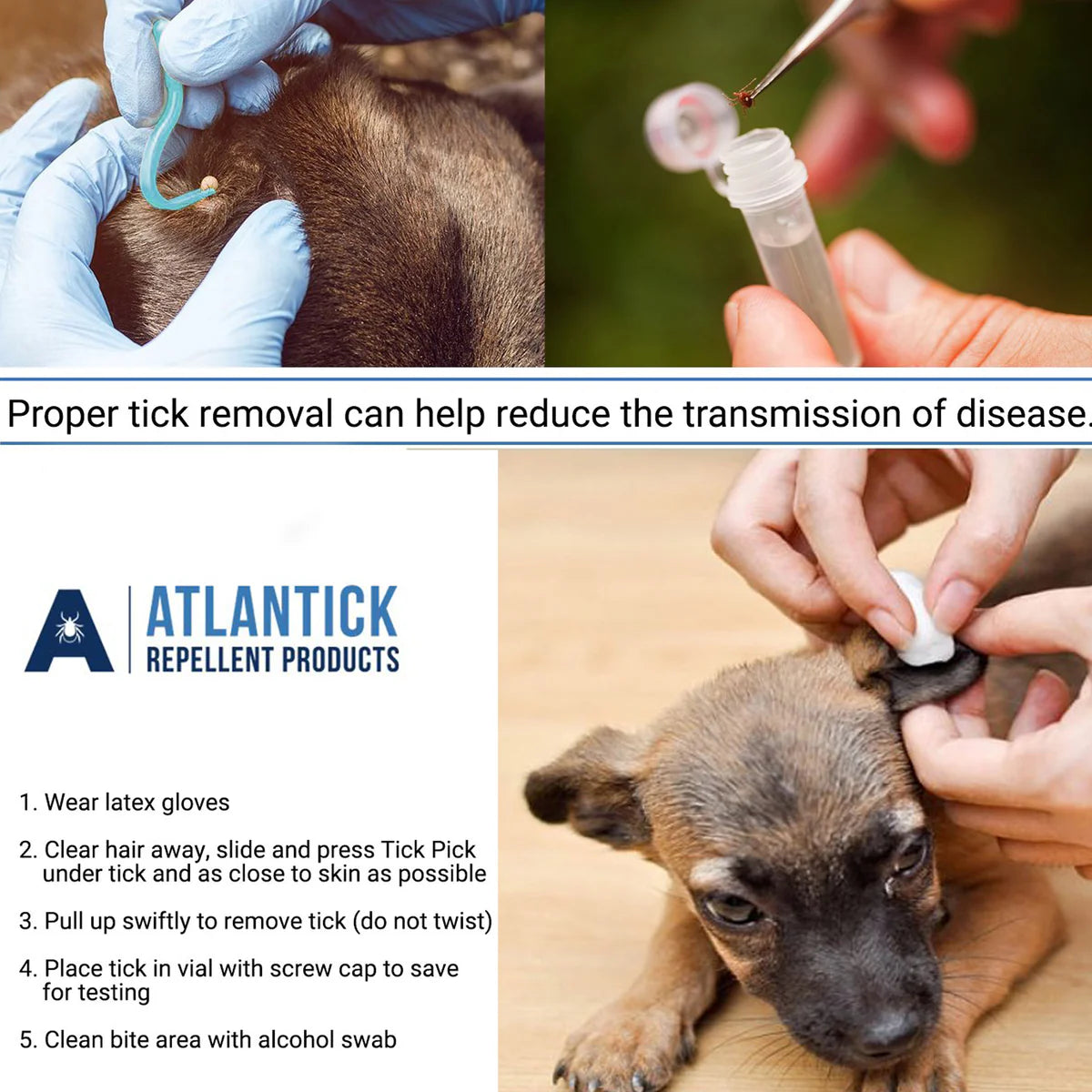 Metal Tick Removal Tool - Made in Canada