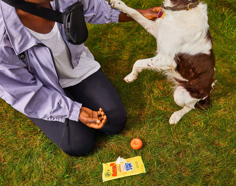 Woman playing with dog at park with wet ones sanitizing wipes to clean up sanitize hands